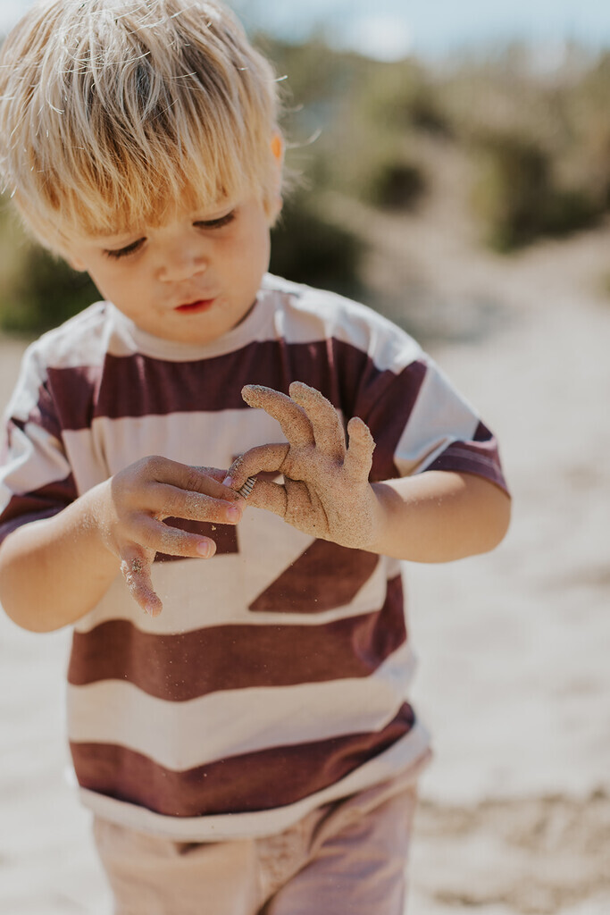 Family Reynaert *. 3