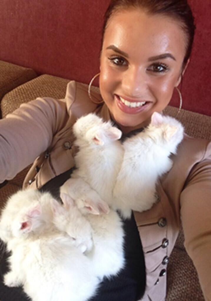 Savannah Body Building *. 8